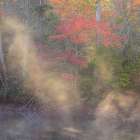 USA, New Jersey, Pine Barrens National Preserve. Autumn forest and pond mist. Art Print